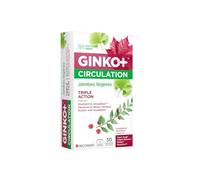 GINKO+ Circulation | Complément alimentaire | Soutient la circulation, favorise le retour veineux & apporte une action antioxydante | Formule à base d’actifs végétaux | 30 comprimés