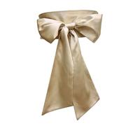 GinMimi Ceinture large en ruban pour femme avec nœud papillon pour mariage et fête, 250 cm de long, couleur élégante, serre-taille, champagne, taille unique