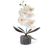 ginojex Orchidée artificielle réaliste avec vase en ciment - Décoration d'intérieur ou de mariage - Blanc - 38,1 cm de haut