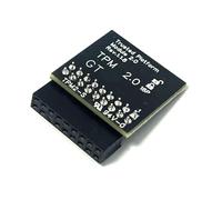 Gintai Module TPM 2.0 LPC 18pin Infineon SLB9665 pour ASRock B150M Pro4Hyper,B150A-X1Hyper,B250 Pro4, H310M-HDV/HDVM.2, H310CM-HDVM.2,H170 Pro4Hyper/Combo/ Pro4D3/Pro4S, H170A,H170M Carte mère