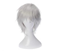 Gintama Gintoki Sakata Cosplay perruques 35 cm / 13.8 pouces court argent blanc hommes cheveux synthétiques Perucas Anime Costume jeu de rôle perruque KUJ3958