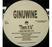GINUWINE - There It Is [Vinyl Single 12'']
