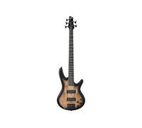 Ibanez GSR205SM-NGT