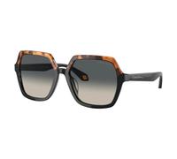 Giorgio Armani - 0Ar8193U - unisex - Accessoires - Multicolore - Taille: 55 MM