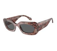 Giorgio Armani Femme AR8182 5976B1 Lunettes de soleil Acétate Tortue Gris Carré Normale