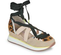 Gioseppo Baskets basses LUDLOW in Multicolore 39