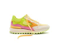 Gioseppo Baskets Iola