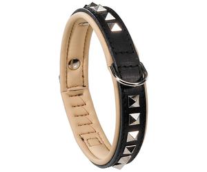 Giotto C25/49 Blk Luxor Collar