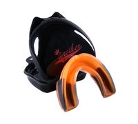 Giovanni-Battista Piranesi, Essai De Catalogue Raisonné De Son Oeuvre