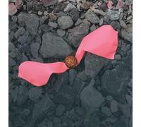 Giovanni Di Domenico - Insalata Statica