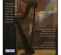 Musique pour Harpe et Musique de Chambre