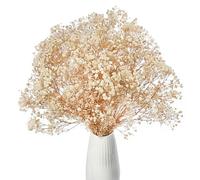 Gipizi Gypsophile Séché Fleurs Rose, 42cm Naturel Gypsophila Fleurs Sechees Plus de 3000 Floraux Boutons enpour Rose Gypsophile pour Mariage, Décoration Maison, DIY et Fête (Blanc Cassé)
