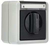 Gira Interrupteur de stores 015430 Bouton-poussoir unipolaire avec zone d'inscription Gris