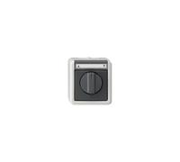 GIRA 015430 Interrupteur électrique noir - gris (015430)