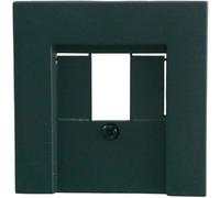 Gira 027628 Abdeckung TAE + Stereo + USB System 55 Anthracite