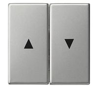 Gira 0294600 Wippe 2fach mit Pfeilsymbol, System 55, edelstahl