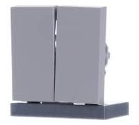 Gira 0295015 Wippe, 2fach, System 55, grau matt