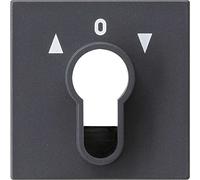 GIRA, 066428, couvrir e l'interrupteur system 55 anthracite,