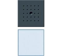 Gira - 126067 Porte En Station De Contrôle Anthracite