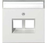 Gira 2640112 Cache modulaire Jack 30 ° avec 2 interrupteurs Blanc Pur