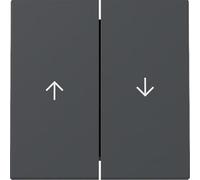 Gira 329428 Interrupteur à bascule double Anthracite