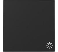 GIRA Bascule 3285005 Symb.lumière Sys.55 sw m (3285005)