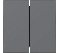 GIRA Bascule 329528 2f Sys.55 anthr (329528)