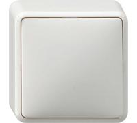 Gira basculer, Bouton + interrupteur, Blanc