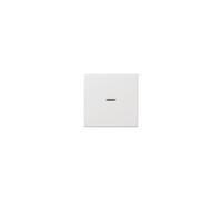 Gira BOUCLE DE CONTRÔLE POUR WWS+TASTER (029003RWS GL.SYST.55)