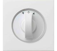 GIRA Bouton de manœuvre Jalousie surface rws glz "flèches