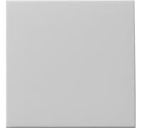 Gira Bouton-poussoir gris 0916015 (0916015)