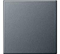 GIRA Cache Interrupteur va-et-vient Standard 55 anthracite 029628 1 pc(s)