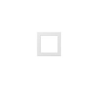 GIRA Cadre intermédiaire rws surface 50x50mm