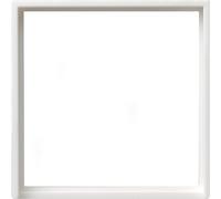 GIRA Cadre intermédiaire rws Système 55 50x50mm