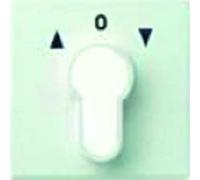 GIRA Clé Abd Store Système 55 rws glz