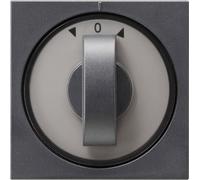 Gira Couvercle avec manette anth 066628