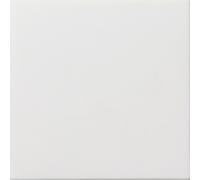 Gira Couvercle aveugle avec anneau de support Interrupteur plat blanc pur 0268112