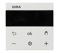 Gira Gira Affichage RTR rws 539303 Quantité:1