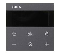 Gira Gira Afficheur RTR anthracite 539328 Quantité:1