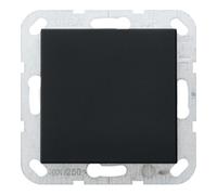 Gira Gira Cache aveugle anneau de support noir 0268005 Quantité:1