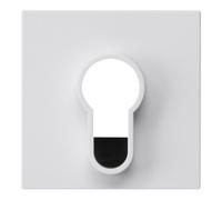 Gira Gira Cache interrupteur à clé 866403 blanc pur brillant Quantité:1