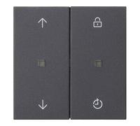 Gira Gira Commande radio Mem.Pfeile anthracite 549228 Quantité:1