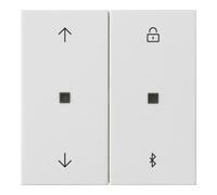Gira Gira Horloge volet roulant et interrupteur Bluetooth Sys.55 rwm 536727 Quantité:1