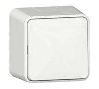Gira Gira Interrupteur à bascule AusWe plaque de montage 10AX 250V blanc pur plastique Quantité:1