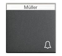 Gira Gira Interrupteur de sonnette anthracite avec inscription, System55 067328 Quantité:1