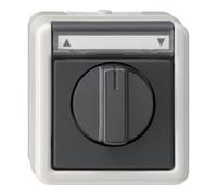 Gira Interrupteur de stores 015430 Bouton-poussoir unipolaire avec zone d'inscription Gris