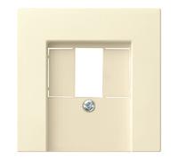 Gira Gira Module central cws-gl pour prise TAE 027601 Quantité:1