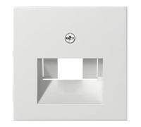 Gira Gira Module central rws-gl pour connexion UAE-IAE 027003 Quantité:1