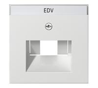 Gira Gira Module central rws-gl pour connexion UAE-IAE 028403 Quantité:1