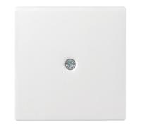 Gira Gira Plaque centrale avec passage de câble rws System55 027427 Quantité:1
